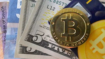 Bitcoin price trend displayed on a cryptocurrency exchange platform