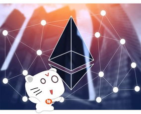Diverse cryptocurrency mining equipment in a professional setting